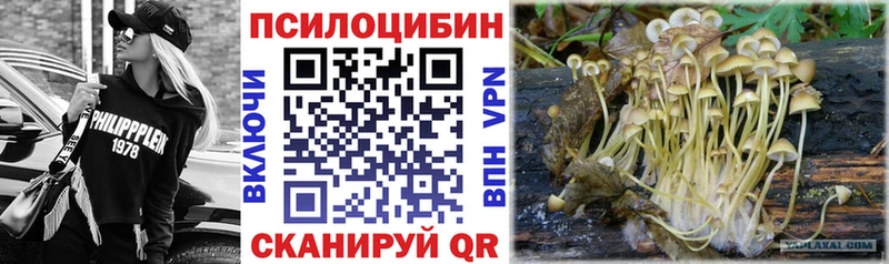Псилоцибиновые грибы Psilocybine cubensis  Купить где  Абдулино 